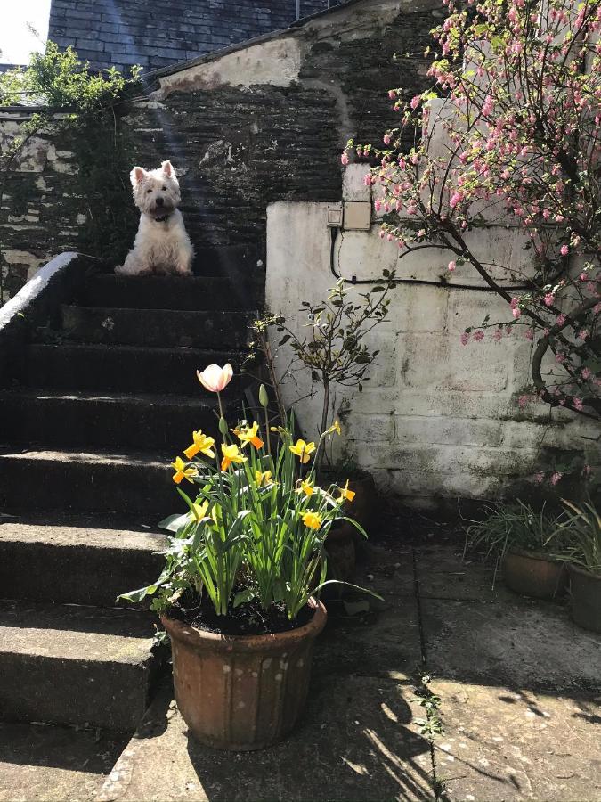 Spring Garden
